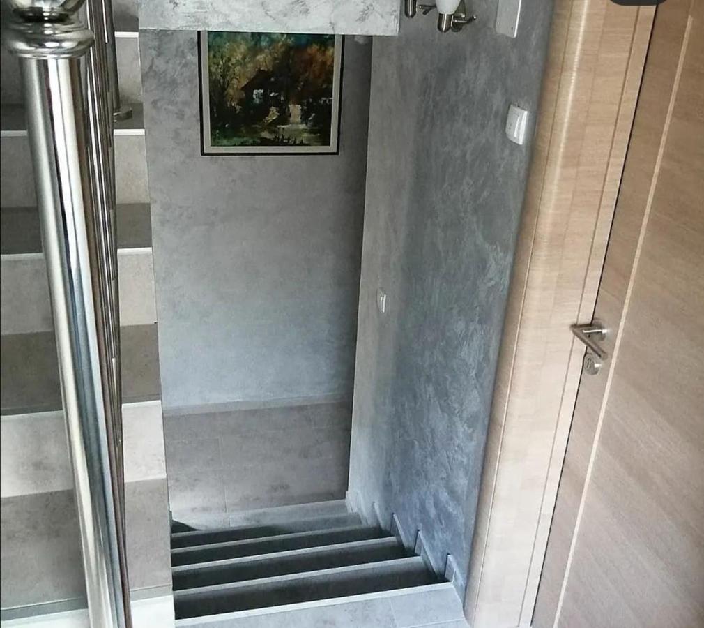Vila Lux Nedeljkovic Gornja Trepca Čačak Extérieur photo