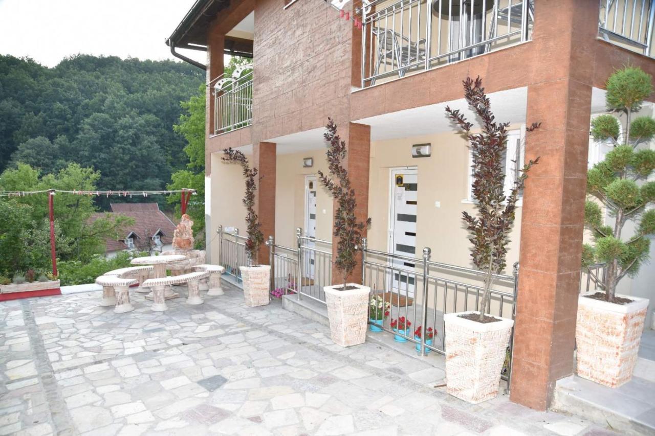 Vila Lux Nedeljkovic Gornja Trepca Čačak Extérieur photo
