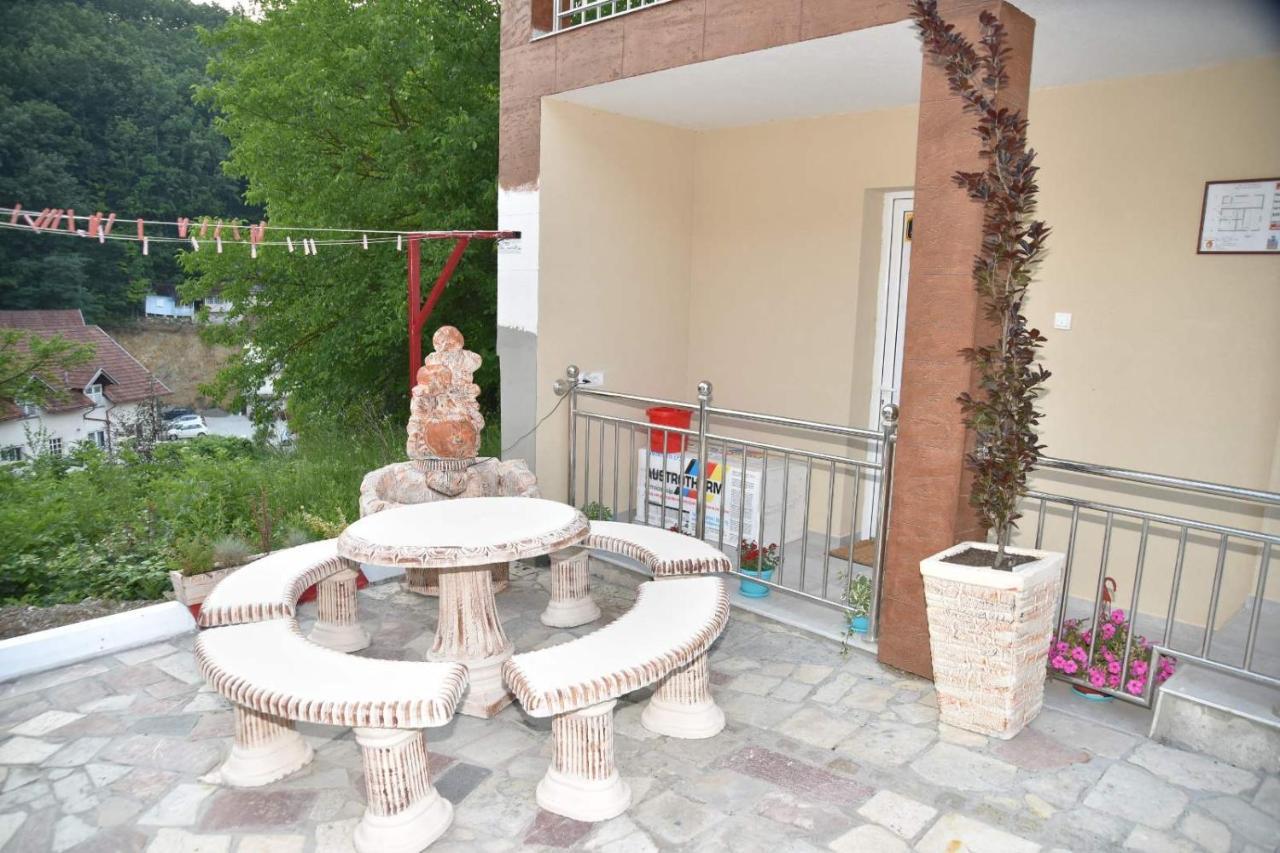 Vila Lux Nedeljkovic Gornja Trepca Čačak Extérieur photo